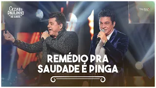 Cezar & Paulinho - Remédio Pra Saudade é Pinga | DVD 40 Anos