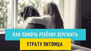 Как помочь ребёнку пережить утрату питомца?