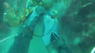 First Lobster Dive of 2018 Pt. 1