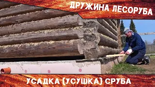 Усадка сруба бани, пошла не по плану. Что делать с кривыми бревнами?