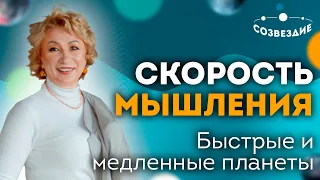 Скорость мышления // Наша сообразительность // Быстрые и медленные планеты // Ушкова Елена