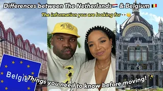 The Benefits of living in Belgium🇧🇪👀 | Differences with The Netherlands🇳🇱| The Tea 🐸🍵 Part 2