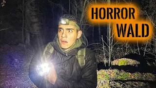 Verlaufen im HORROR WALD (Real Talk) | Survival Mattin