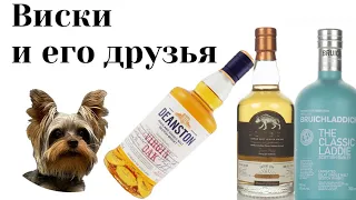 Сражение Bruichladdie - Deanston - Wolfburn кто победит?