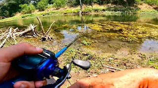 Throwing A GIANT frog at “Fisherman’s heaven”