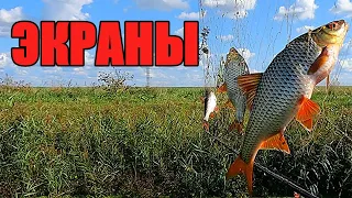 ЭКРАНЫ НАС НЕ ПОДВЕЛИ!!! Наловили рыбы на мелкой речушке.