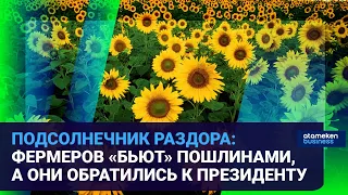 ПОДСОЛНЕЧНИК РАЗДОРА: ФЕРМЕРОВ «БЬЮТ» ПОШЛИНАМИ, А ОНИ ОБРАТИЛИСЬ К ПРЕЗИДЕНТУ / Время говорить