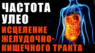 Частота УЛЕО - Исцеление Желудочно-Кишечного Тракта | Медитация