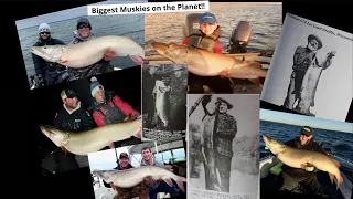 Biggest Muskies on the Planet?