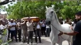 Cavalo se despede do dono em enterro e comove a todos
