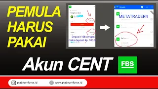 5 Alasan Akun Cent untuk Trader Pemula