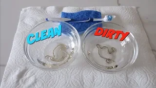 Easy way to clean your JEWELRY!