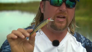 Jerkbait Bass Fishing Secrets for Florida & Grass Lakes