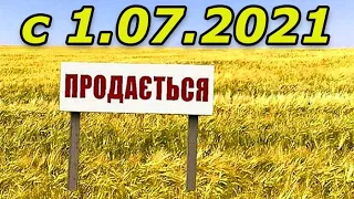 Как купить землю в Украине с 1 июля 2021. Инструкция для покупателя. Вложение денег надёжно