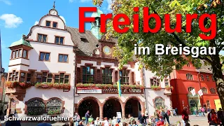 Freiburg im Breisgau