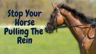 Stop Your Horse Pulling On The Reins