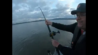 Keeper Sturgeon Columbia River Washington