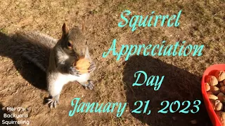 Squirrel Appreciation Day 2023