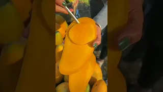 World best mangoes 🥭🥭