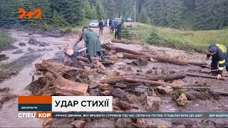 Грози та зливи зі шквалами і градом наробили лиха у більшості регіонів України