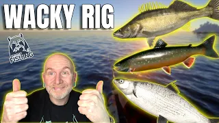 Russian Fishing 4 | Ladoga Archipel | Wacky Rig | RF4 | 017