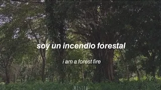 Mitski - A Burning Hill (lyrics + sub español)