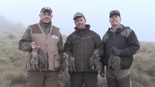 Upland Hunting with Karoo Wingshooting