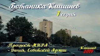 Кишинев, Ботаника, проспект Мира, Дачия, бульвар Советской Армии, Траян, Тимошенко