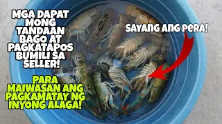 MGA DAPAT MONG "TANDAAN" BAGO AT PAGKATAPOS BUMILI SA SELLER PRA MAIWASAN ANG PAGKAMATAY NG CRAYFISH