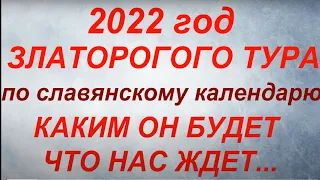 2022 - год какого животного по славянскому календарю. Каким будет 2022 год. Что нас ждет...