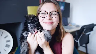 October Wrap-Up (feat. Puppy!)