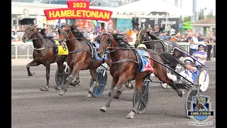 Tactical Approach & Scott Zeron wins Hambletonian 2023 ($1,000,000) in 1.50,3 at The Meadowlands.