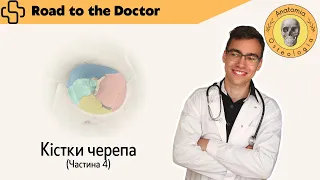 Кістки черепа | Частина 4 | Очна ямка, кісткова носова порожнина та кісткове піднебіння