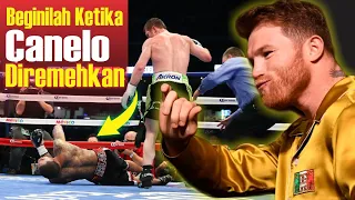 Pembalasan Canelo Ketika Ia Dibuat Marah! Lawannya Sampai Berlumuran Darah