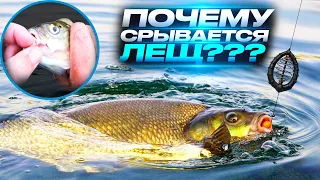 Почему срывается лещ???Рыбалка на донки ,ловим осторожного леща. Сamping ,fishing,bushcraft,nature.