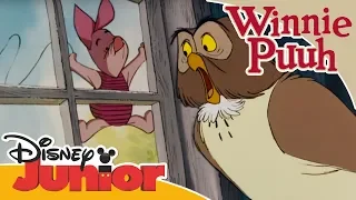 Kleine Abenteuer mit Winnie Puuh - Bei Eule | Disney Junior