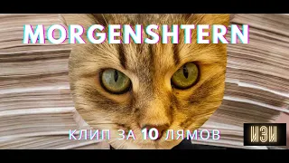 MORGENSHTERN - КЛИП ЗА 10 ЛЯМОВ (МЯУGENSHTERN - КЛИП ЗА 10 МЯУМОВ) Пародия от MAXIMUZ