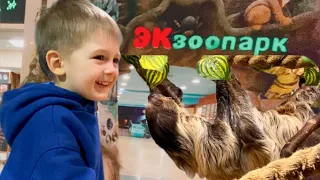 Прогулка в экЗоопарке 🐒 2 часа за 6 минут.