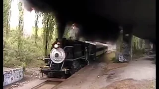 Old steam locomotive darkens the skies with thick black smoke.