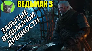 ВЕДЬМАК 3 - ЗАБЫТЫЕ ВЕДЬМАЧЬИ ДРЕВНОСТИ (новый квест в игре!). Уютный стрим SHERL'a