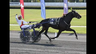 2019 International Trot -- Zacon Gio