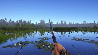 ВОТ ЭТО РЫБЁХА | Russian Fishing 4 | Смотрим #3