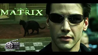 The Matrix (1999) - Deja Vu Scene || Movie Clips