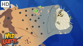 Amazing Adaptations Part 9 | How Animals Survive in the Wild | Wild Kratts