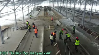 Строительство животноводческого комплекса в с. Ефимцево.