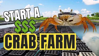 Crab RAS Technology: Vertical Crab Farm Business + Equipment List