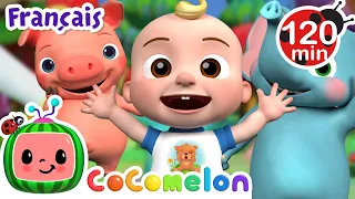 La danse des animaux | Chansons pour Bébés | CoComelon Le coin des Animaux de JJ - Comptines