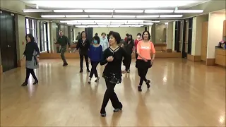 My Baby Bachata 我的宝贝巴恰塔 Line Dance