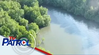 Oil spill sa Oriental Mindoro, lumalawak | TV Patrol