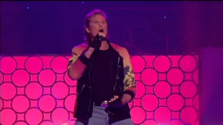 David Hasselhoff - True Survivor